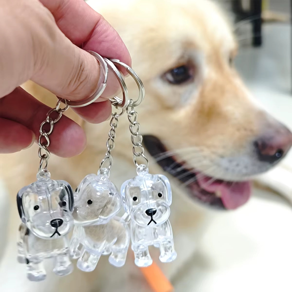 Pet Hair Memory Keychain – A Cute Keepsake for Dog Lovers